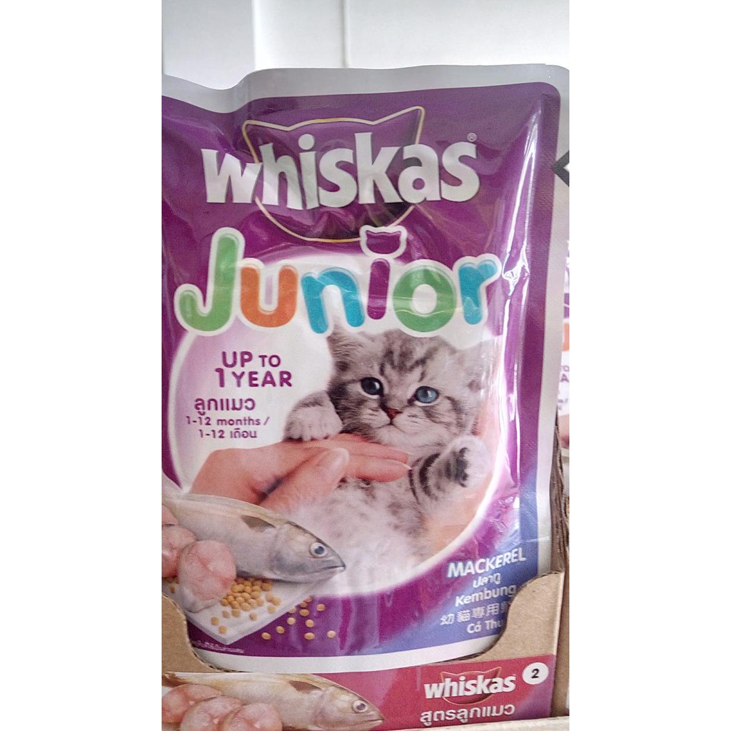 Siap Kirim Whiskas Junior Untuk Usia 1 12 Bulan Kemasan Sachet Juara