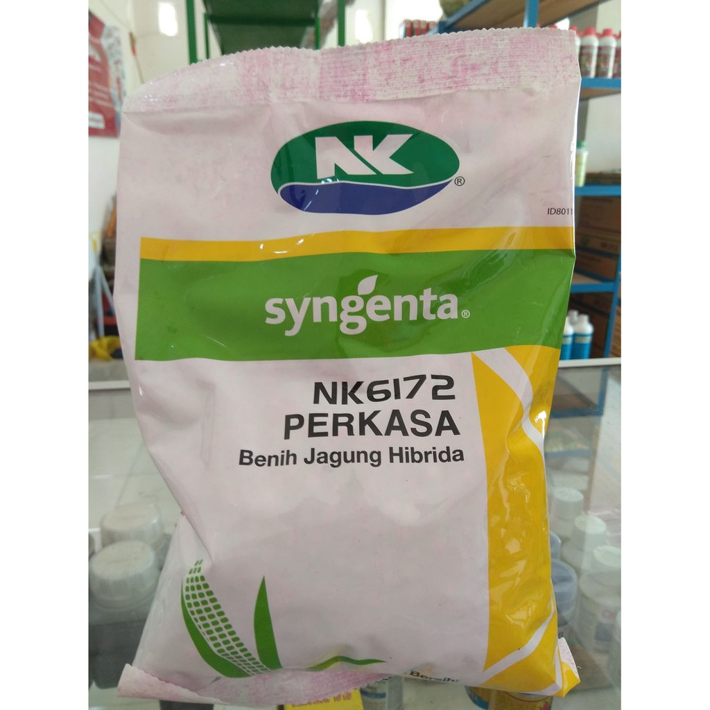 Jual Benih Jagung NK 6172 Perkasa 1 Kg | Shopee Indonesia