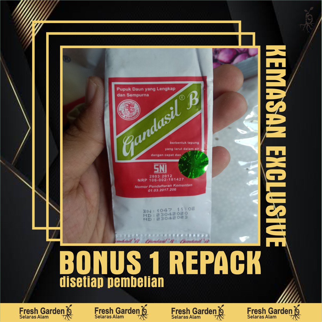 Jual Pupuk Gandasil B – 100 Gram | Shopee Indonesia