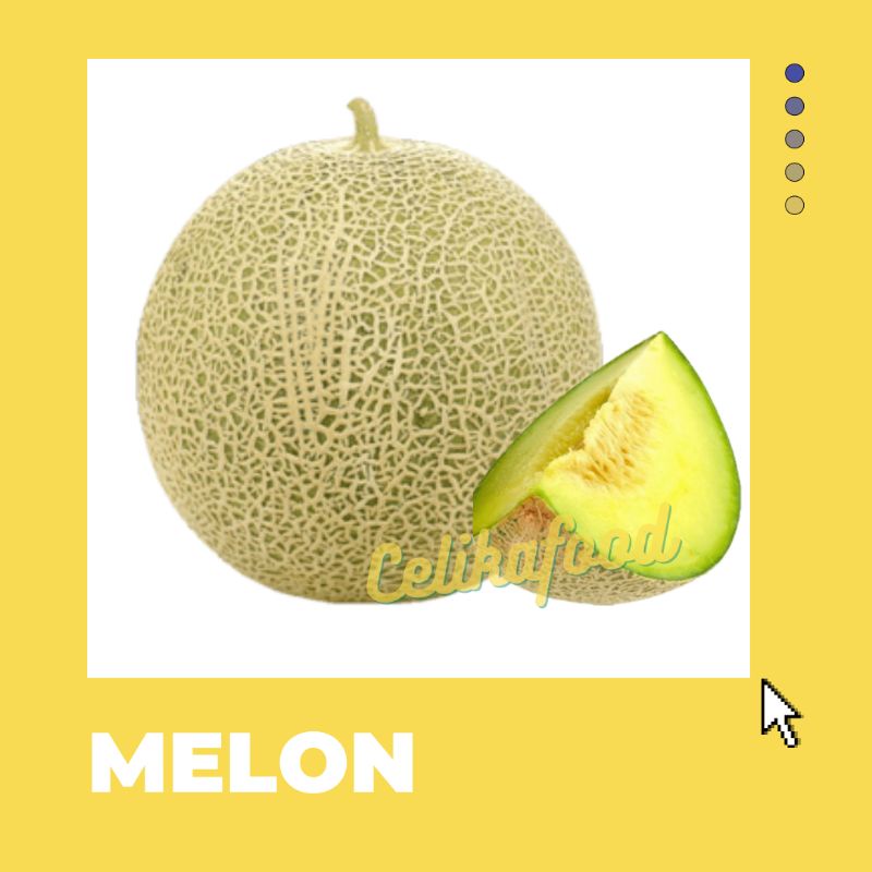 Honeydew Melon Whole – Freshio