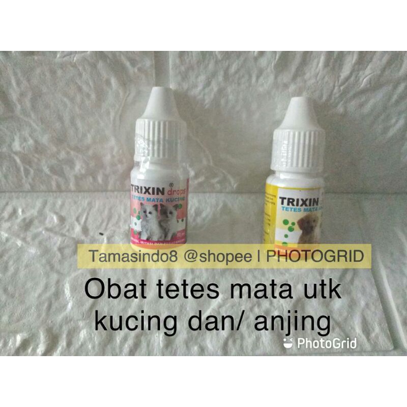 Jual tetes mata kucing / tetes mata anjing TRIXINCAT TRIXINDOG | Shopee ...