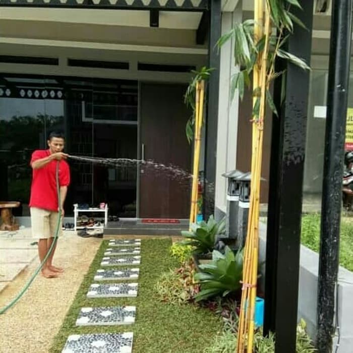 Jual Taman Minimalis Tukang Taman Taman Lengkap Rumput Gajah Mini