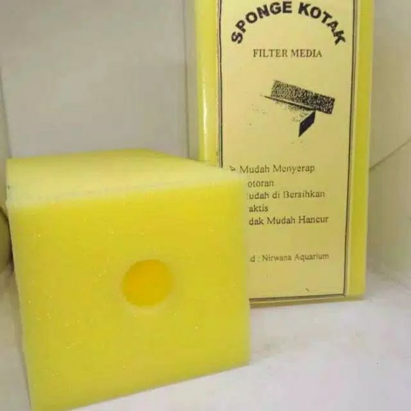 Jual Sponge Spon Kuning Busa Foam kotak Ukuran Sedang Medium Media ...