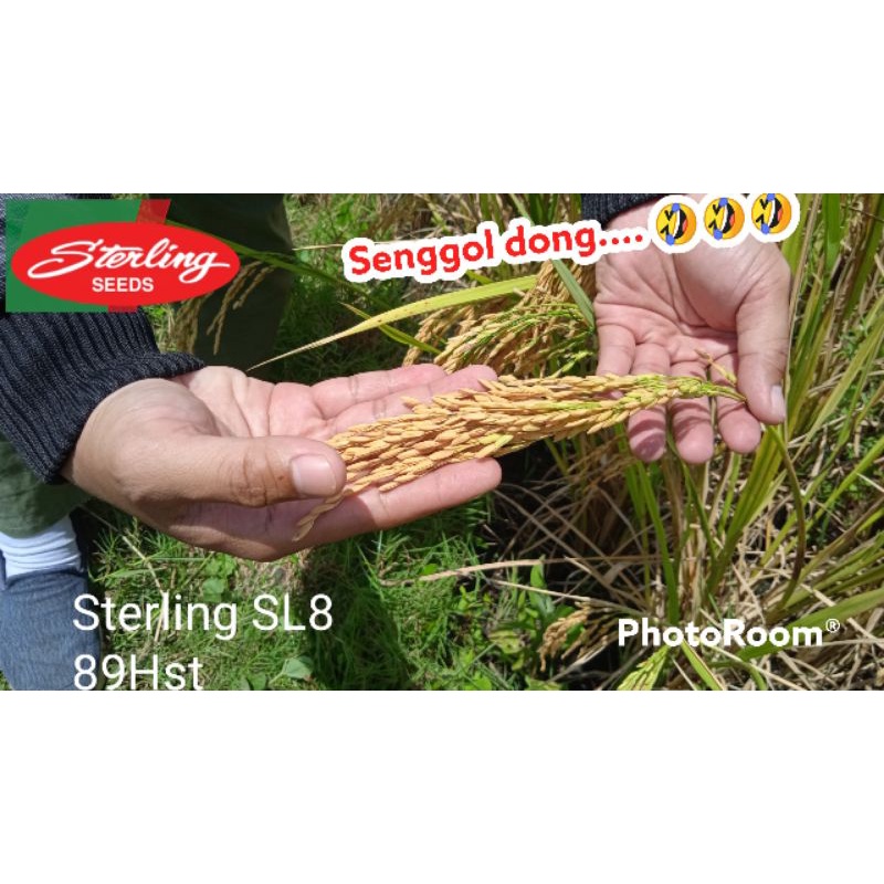 Jual SL8 1kg sterling ex 30 Oktober 2026 | Shopee Indonesia