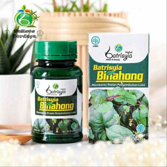 Jual EKSTRAK DAUN BINAHONG ISI 30 KAPSUL BATRISYIA HERBAL PENYEMBUHAN ...