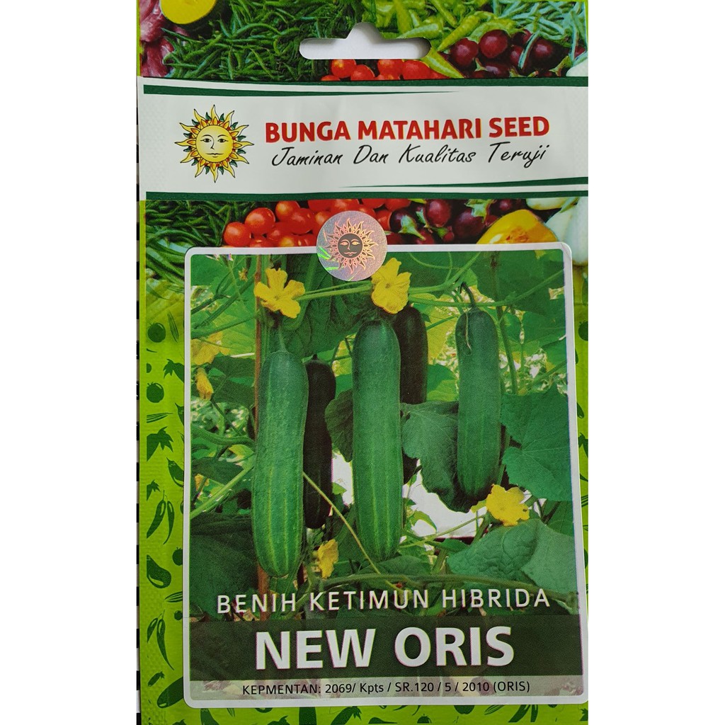 Jual Benih Ketimun hibrida New Oris F1 (Cap Bunga Matahari) 80 butir ...