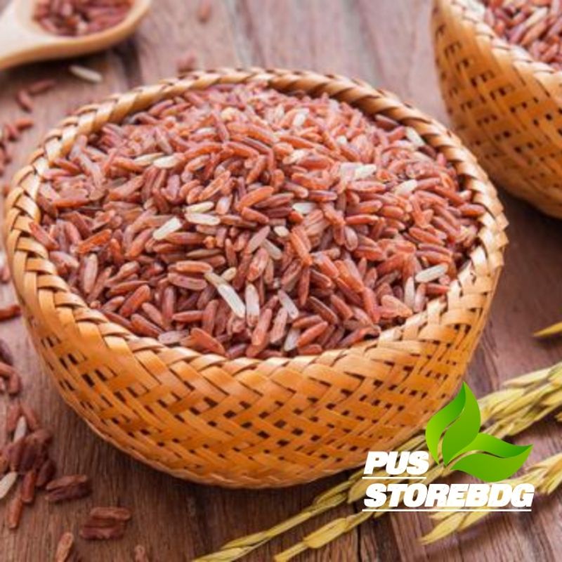 Jual Jual Benih Padi Beras Merah Per Kg Shopee Indonesia