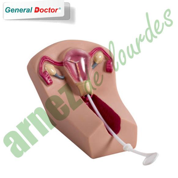 Jual Gd/F5N Iud Training Simulator | Shopee Indonesia