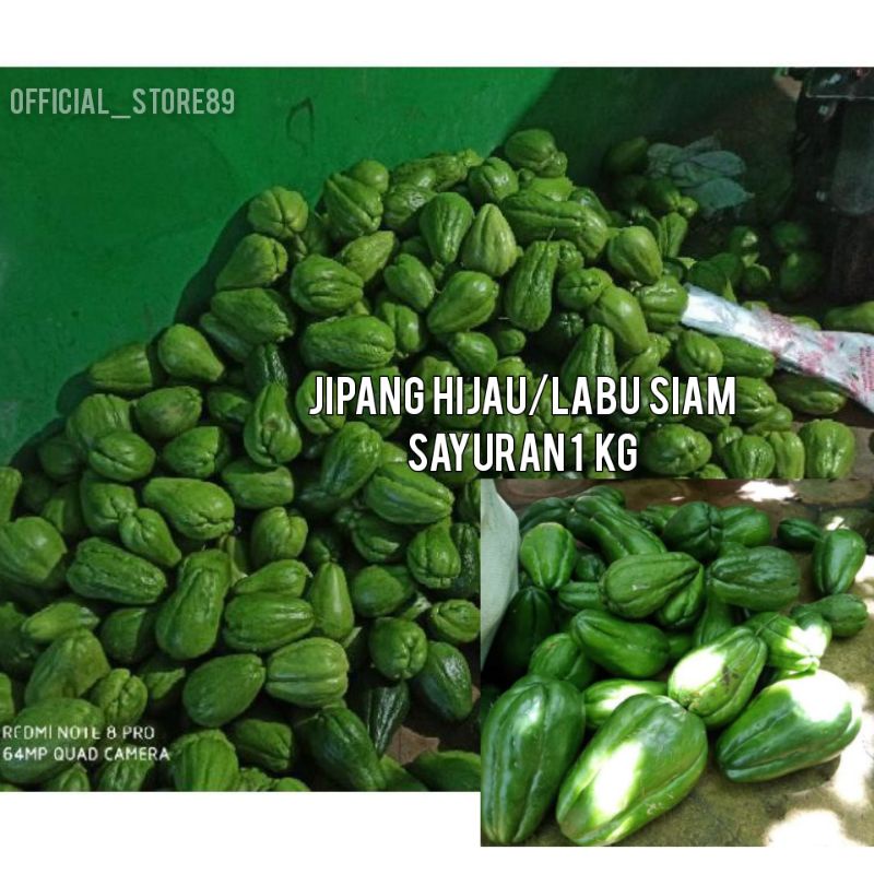 Jual Labu Siam Jipang Hijau Manis Sayuran 1 Kg Shopee Indonesia 