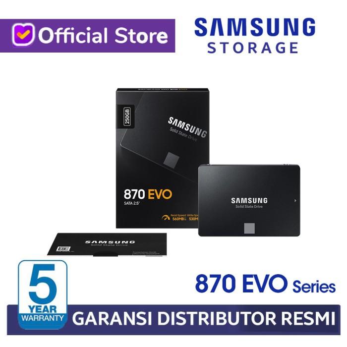 Ssd Ssd Samsung 860 Evo [250 Gb/Sata Inch/V-Nand Technology]