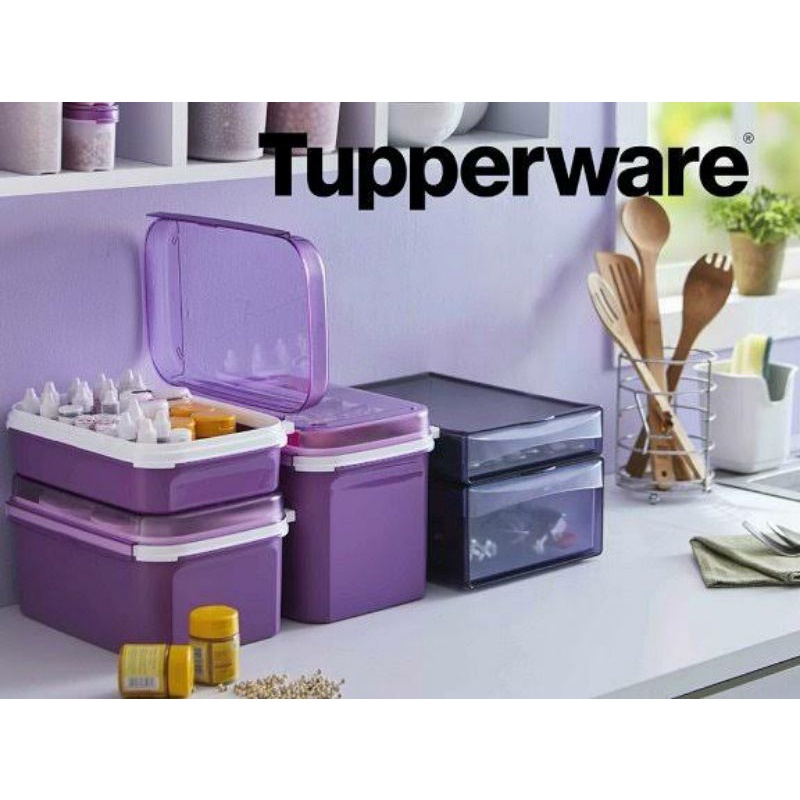 Jual Signature Rectangular Tupperware | Shopee Indonesia