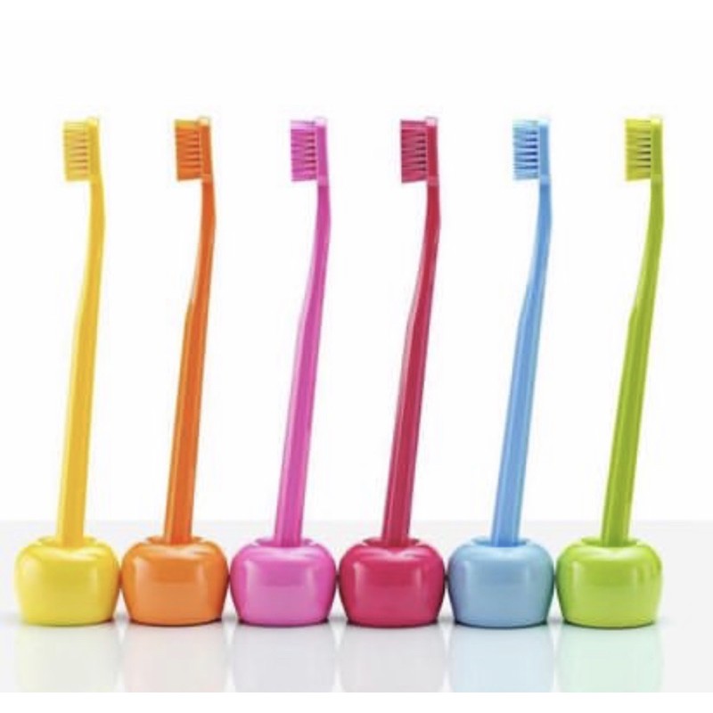 Jual CURAPROX TOOTHBRUSH HOLDER STAND ( TEMPAT SIKAT GIGI ) | Shopee ...
