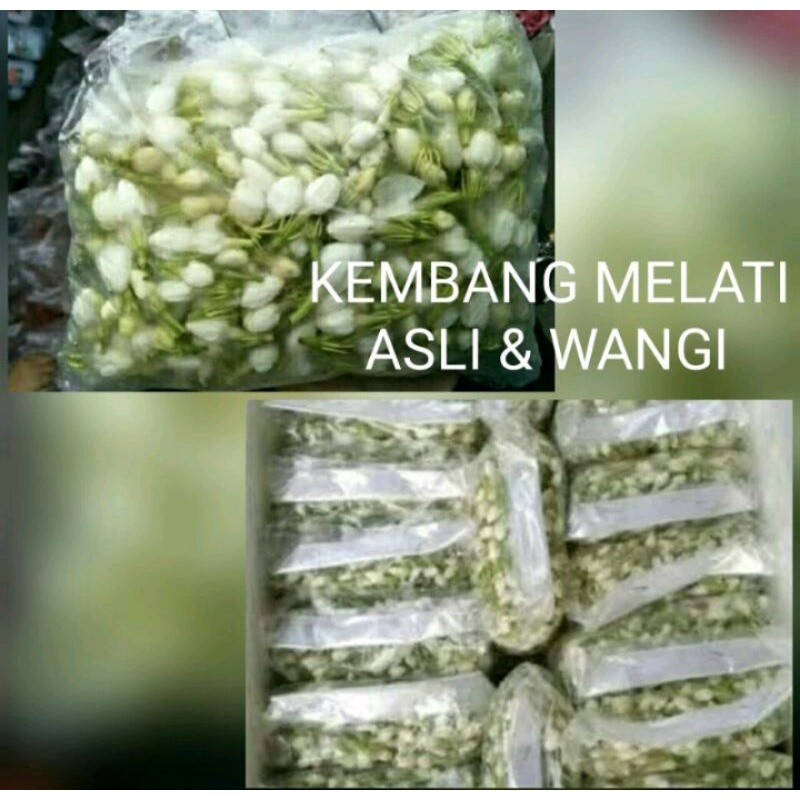 Jual melati segar repac | Shopee Indonesia