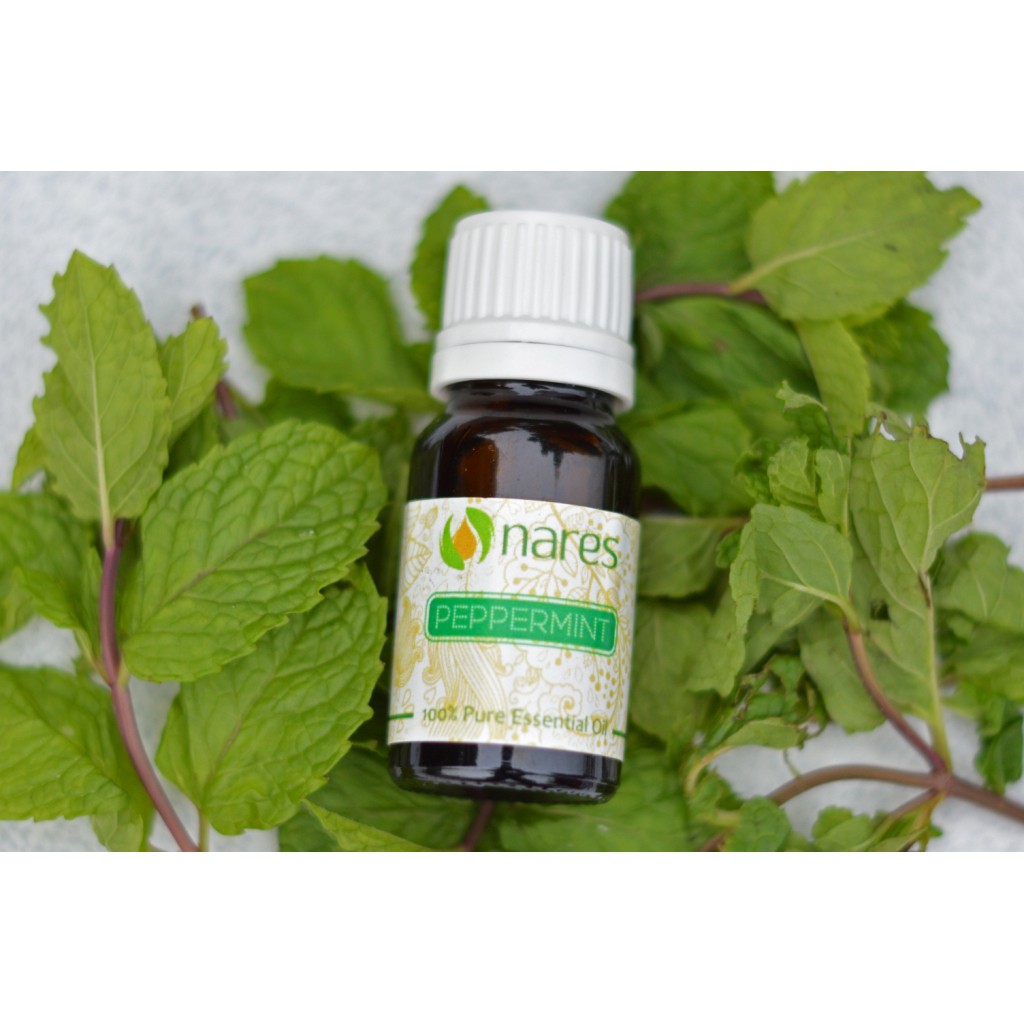 Jual Nares Essential Oil Peppermint 10ml Shopee Indonesia