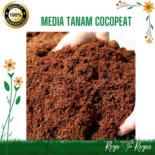 Jual Media Semai Benih Biji Tanam Organik Hidroponik Cocopeat Cocopit ...