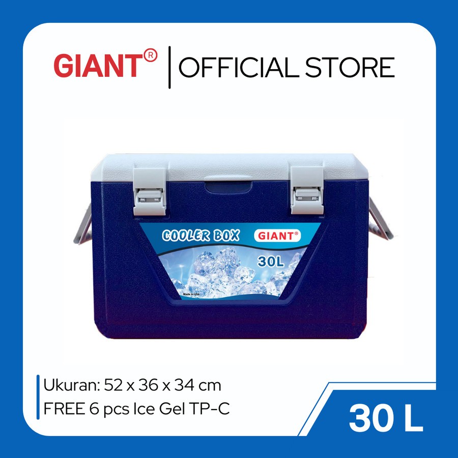 Giant ice hot sale box