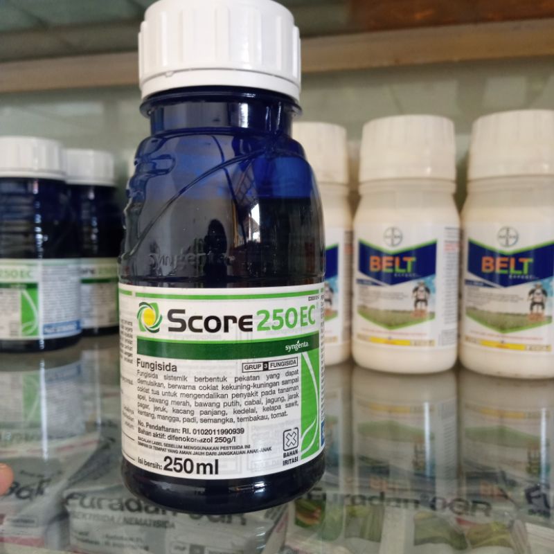 Jual score 250 ec (250 ml) | Shopee Indonesia