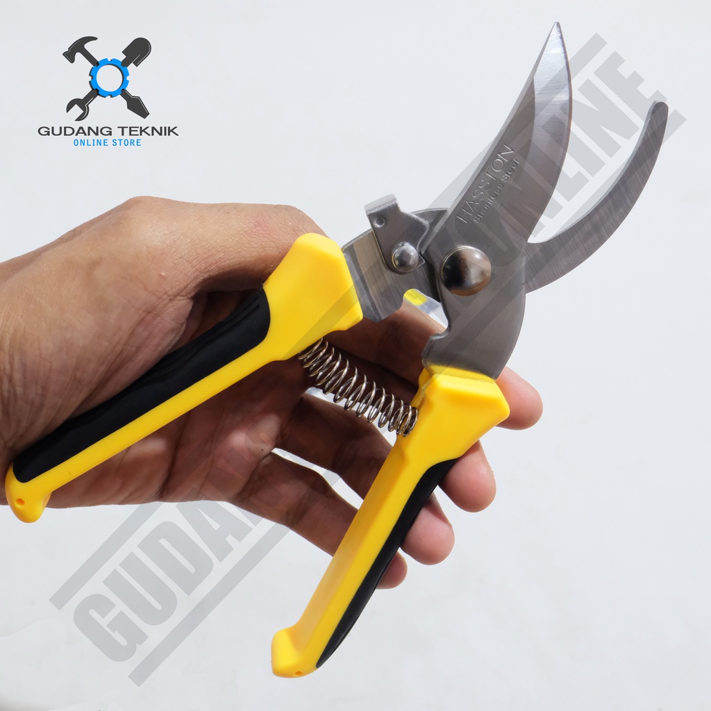 Jual Hasston Prohex Gunting Dahan Ranting Stek Bunga 8 Inch 1353-005 ...