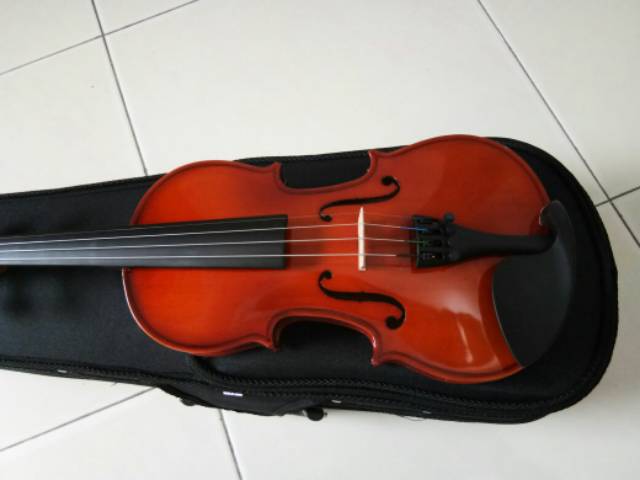 Jual Biola Scott Guan tipe 168 size 1/4 1/2 3/4 dan 4/4 | Shopee Indonesia