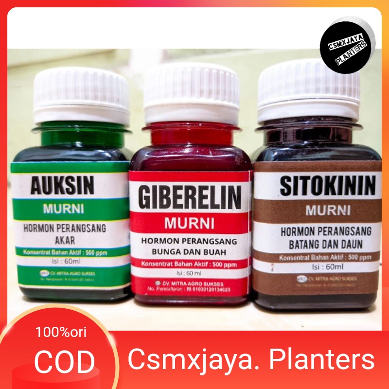 Jual Auksin Giberlin Sitokinin Cairan Hormon Pertumbuhan Tanaman Shopee Indonesia