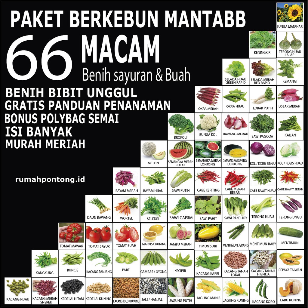 Jual Promo Paket 66 Jenis Benih Biji Sayur Buah Bunga Bunga Terlengkap ...