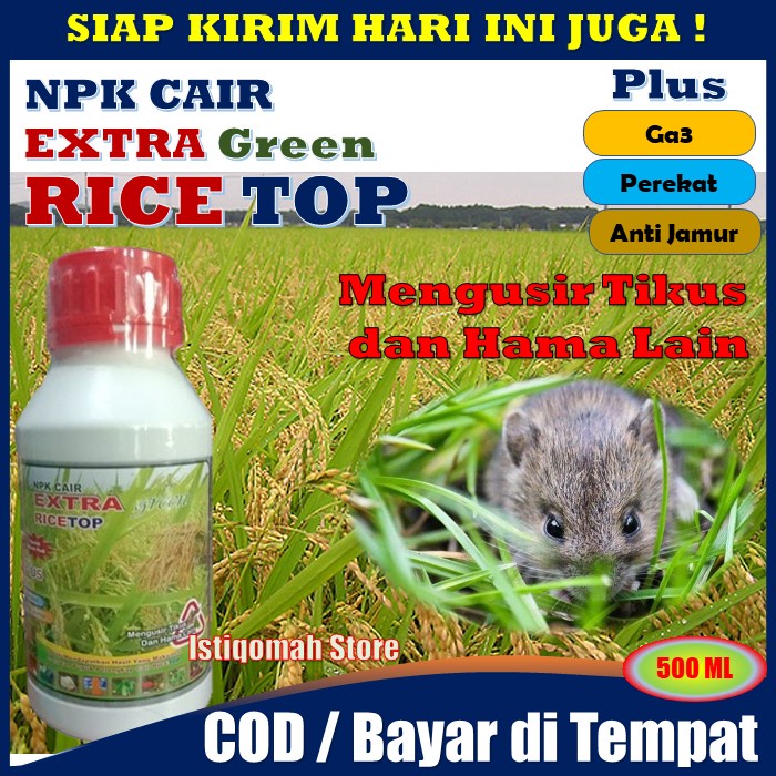 Jual Ricetop Ml Obat Pengusir Hama Tikus Di Sawah Obat Pembasmi Hama Tikus Obat Hama