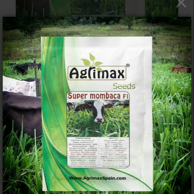 Jual Bibit rumput super Mombaca F1 | Shopee Indonesia