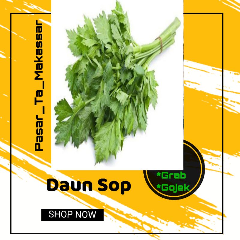 Jual Daun Seledri Daun Sop Pasar Ta Makassar Pasar Sayur Makassar Shopee Indonesia 