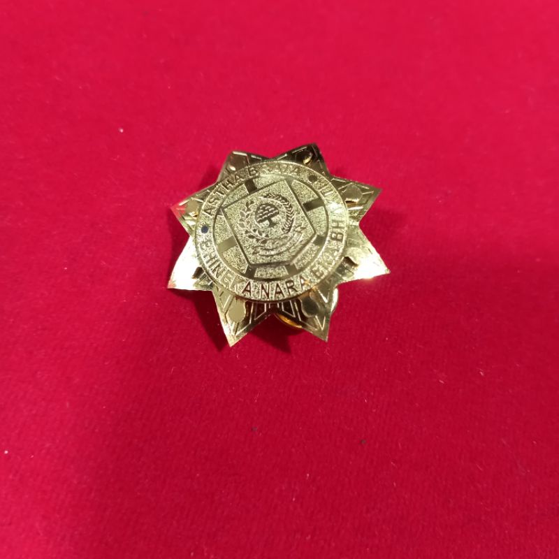 Jual pin IPDN/PIN STPDN / pin purna stpdn | Shopee Indonesia
