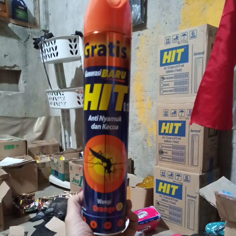 Jual Hit Aerosol 600 ml free 75 ml - Lily Blossom dan orange | Shopee ...