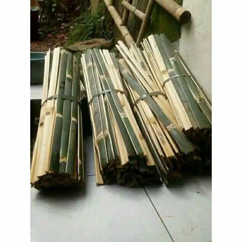 Jual BAMBU BULAH AJIR TANAMAN RAMBAT 10 pcs | Shopee Indonesia