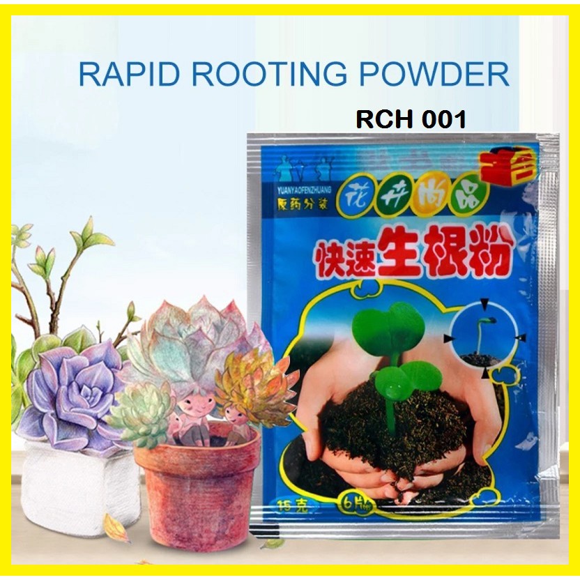 Jual Hormon NA ZPT Akar Tanaman Pemicu Keiki Anggrek Rooting Growth ...