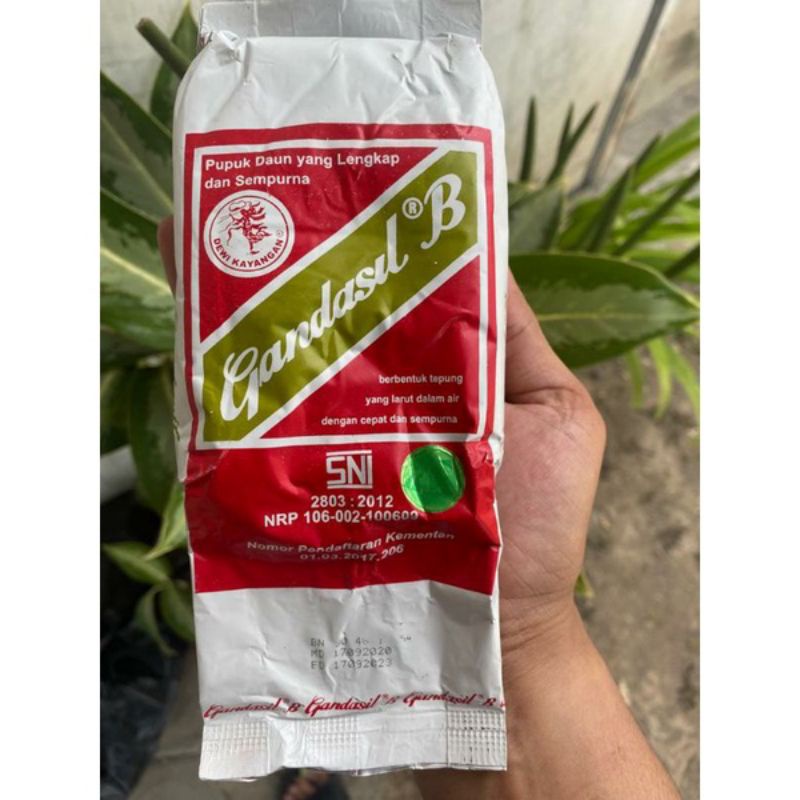 Jual Gandasil B ( 100 Gram ) | Shopee Indonesia