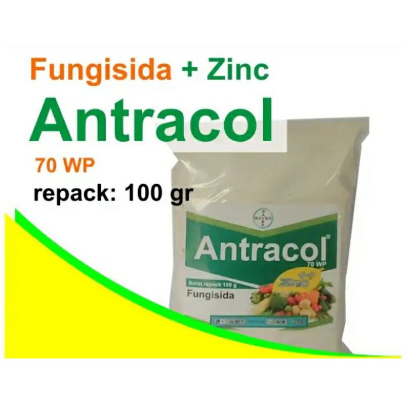 Jual Fungisida Antracol 70 WP + Zinc 100 gram fungi hama jamur busuk ...