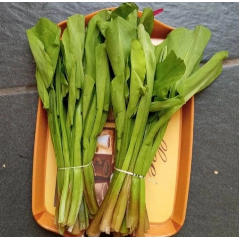 Jual Sayur Genjer Segar Per 1 Ikat Original Shopee Indonesia