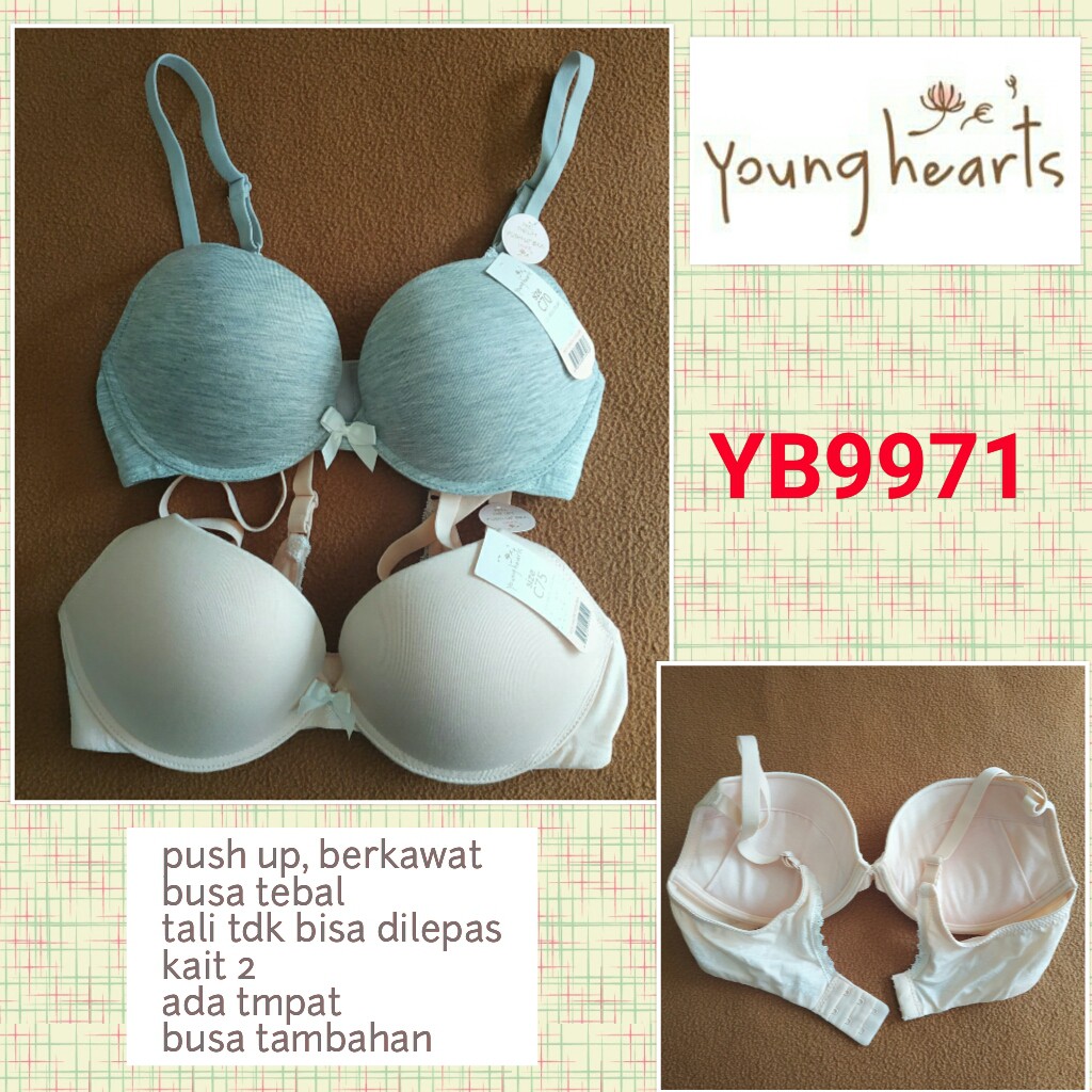 Younghearts Bra Push Up YB9971 size 32/34/36 cup B/C