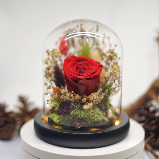Jual Flower Glass Dome Dorana Florist Bunga Mawar Rose Built In Led Kado Ulang Tahun Kado 2002