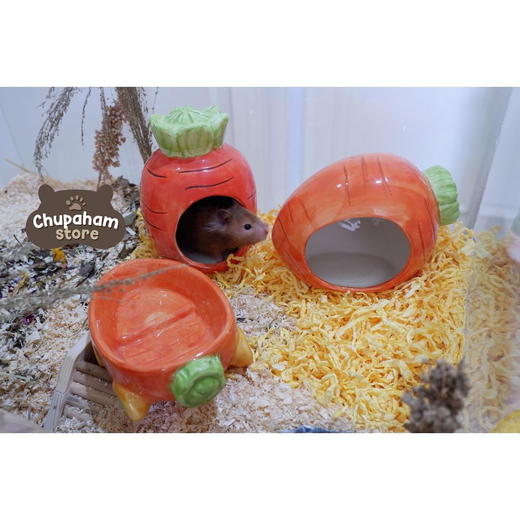 Jual Carrot Hideout / Rumah Keramik Kandang Hamster bentuk Wortel ...