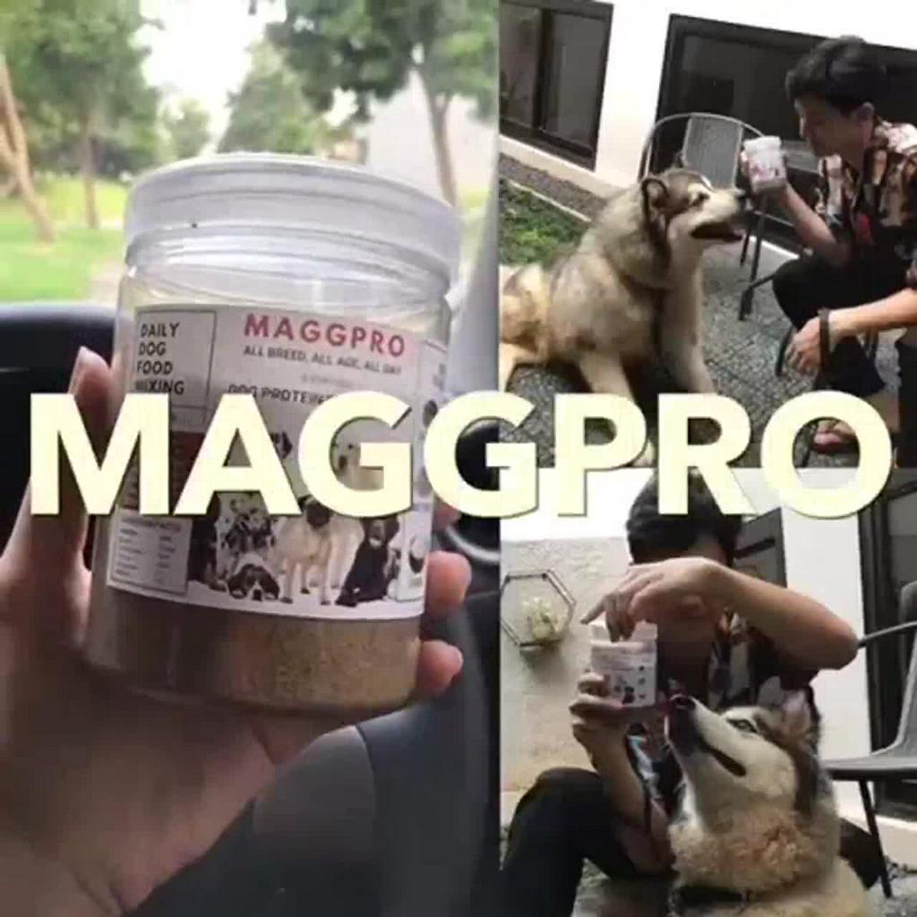 Jual PAKET PROMO Maggpro Dog Foods suplemen vitamin protein Makanan ...