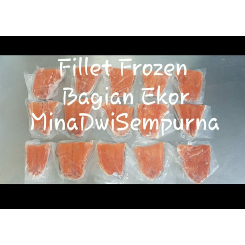 Jual Salmon Fillet Frozen Ekor Gram Norwegian Salmon Premium