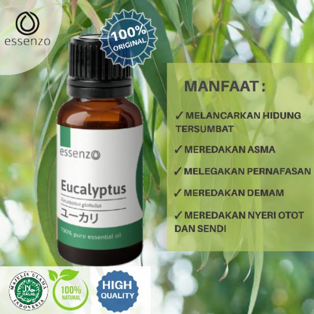 Jual EUCALYPTUS ESSENTIAL OIL ESSENZO MINYAK ESENSIAL UNTUK HIDUNG