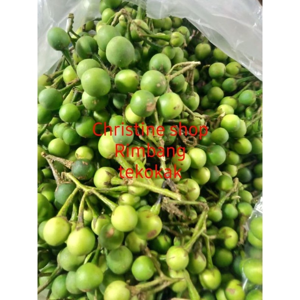 Jual Rimbang / Tekokak 100 gram | Shopee Indonesia