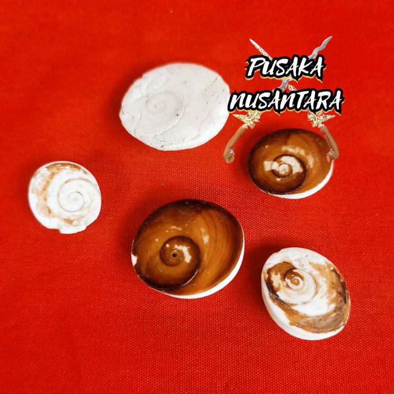 Jual Pusaka Batu Fosil / Kol Buntet / Batu Kijing Asli | Shopee Indonesia