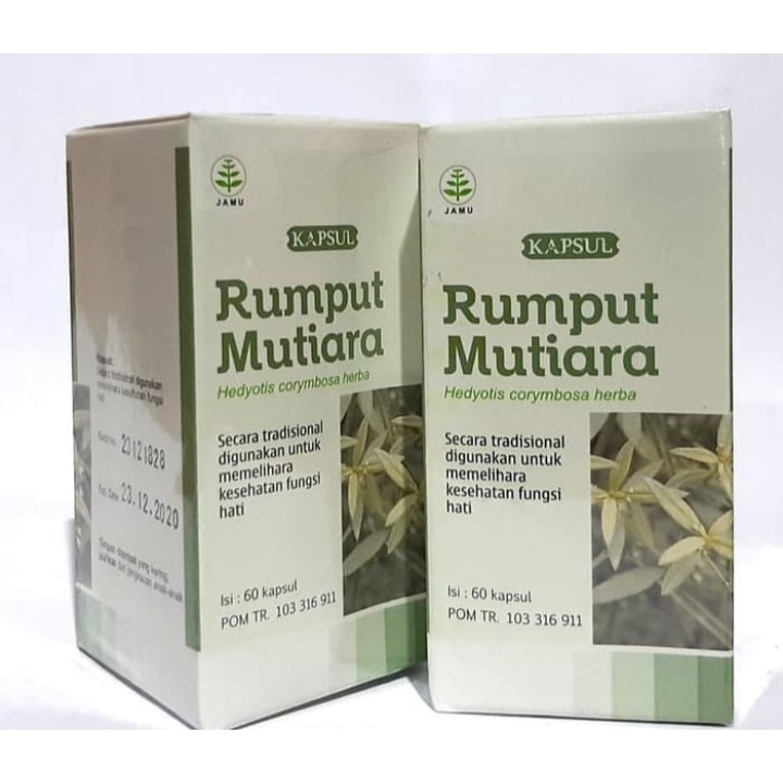 Jual Kapsul Rumput Mutiara 60kpsl Tazakka Shopee Indonesia