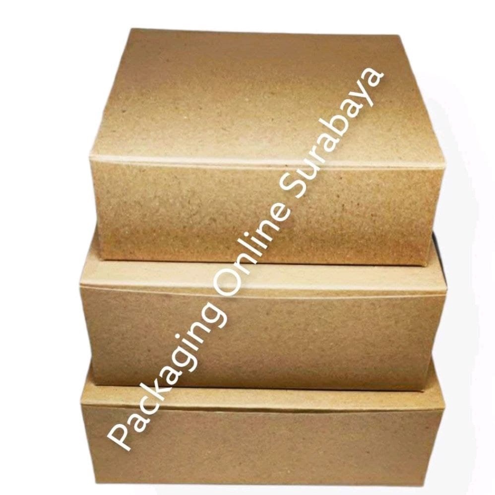 Jual KRAFT 24 24 10 CM LAMINASI BOX KOTAK KEMASAN PACKING DUS KUE SPIKU ...