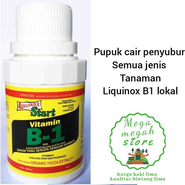 Jual Pupuk Cair Vitamin B1 Liquinox 100ml Zpt Hormon Tanaman | Shopee ...