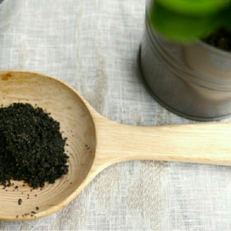 Jual BLACK SESAME POWDER PURE 100 GR | Shopee Indonesia