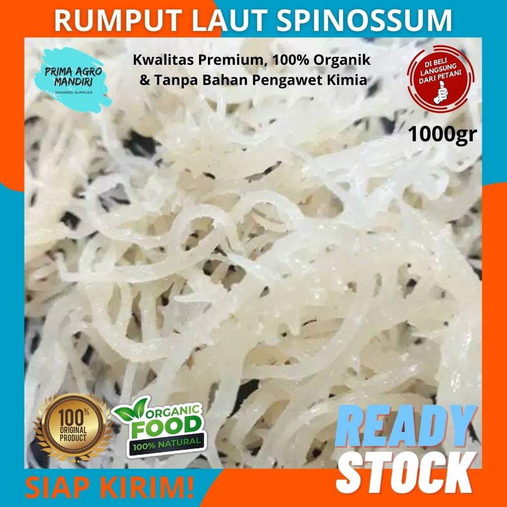 Jual RUMPUT LAUT KERING, 1kg Rumput laut Original, Spinosum Cottoni ...