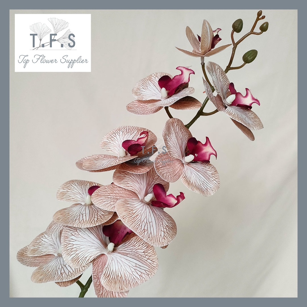 Jual Artificial Flower Real Touch Large Orchids Latex Bunga Anggrek