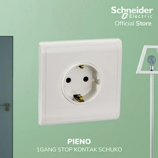 SCHNEIDER ELECTRIC F100/R125-X3/F100R125X3 (Usato Testato Pulito) EUR
